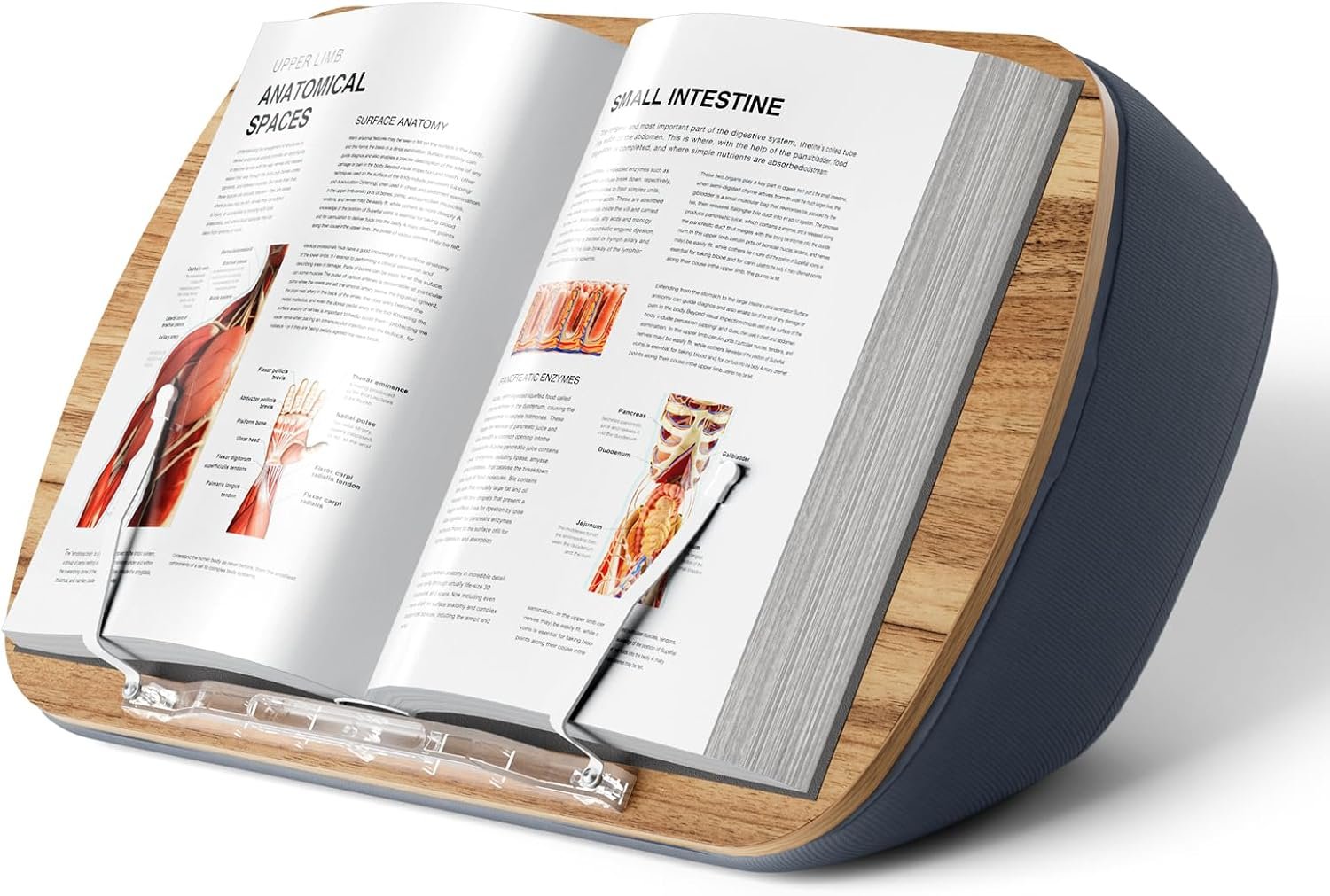 ERGONOV Lap Beanbag Book Stand for Hands Free Reading Comfortable Reading Pillow Stand Minimize Neck Strain Perfect Idea for Book Lovers in Dorm Room or Anywhere Else with Bookseat(Gray) | Minimize Neck Strain Perfect Idea for Book Lovers in Dorm Room or Anywhere Else with Bookseat(Gray)