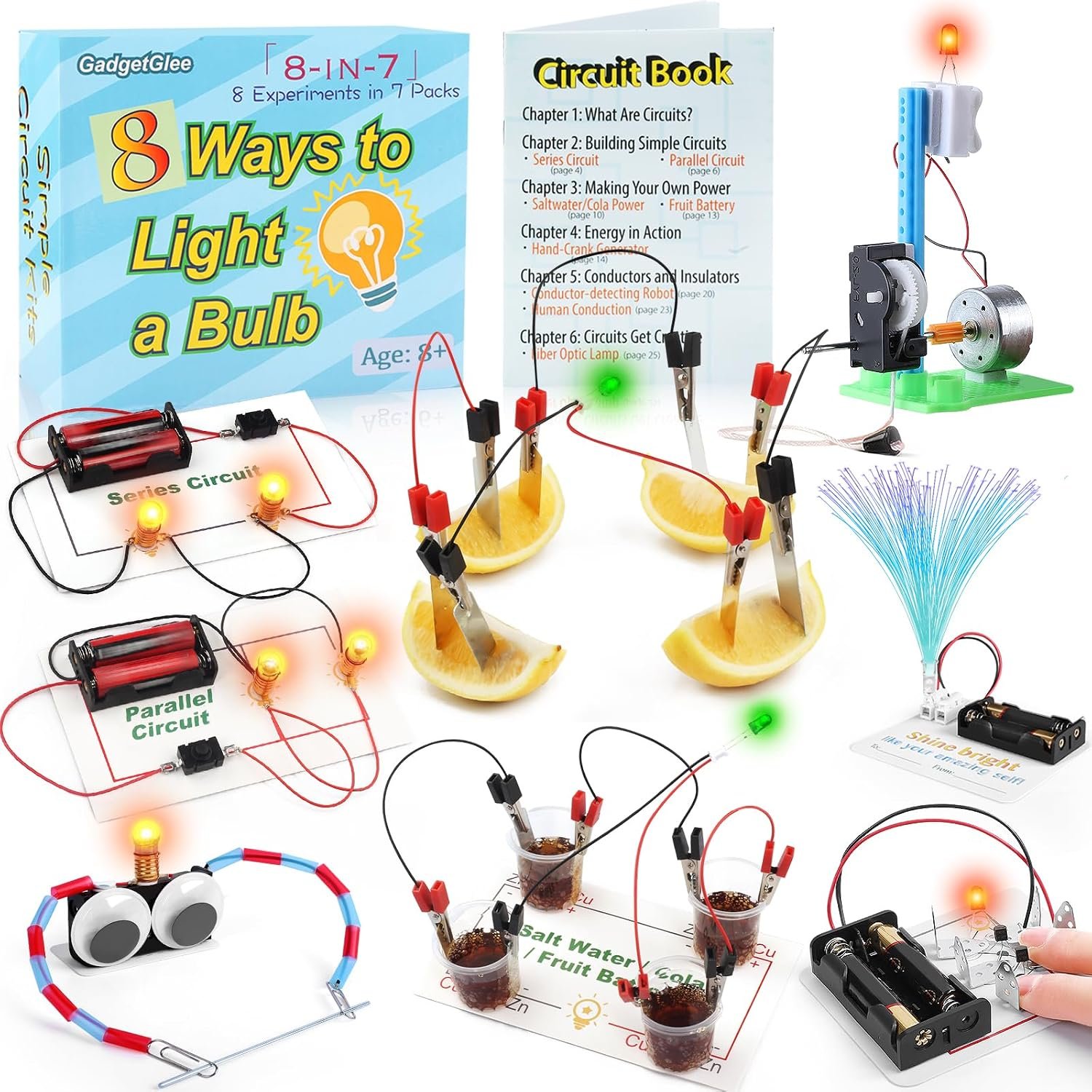 STEM Electric Circuit Kit, Electricity Science Project Light Bulb Experiments for Kids Teens, Electrical Engineering Kits Age 8-12 12-14, Fruit Energy Projects Circuits Experiment