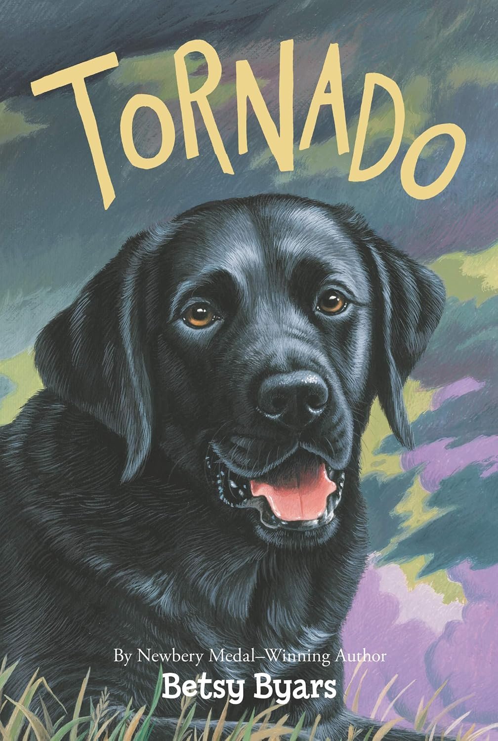 Tornado (Trophy Chapter Books (Paperback))