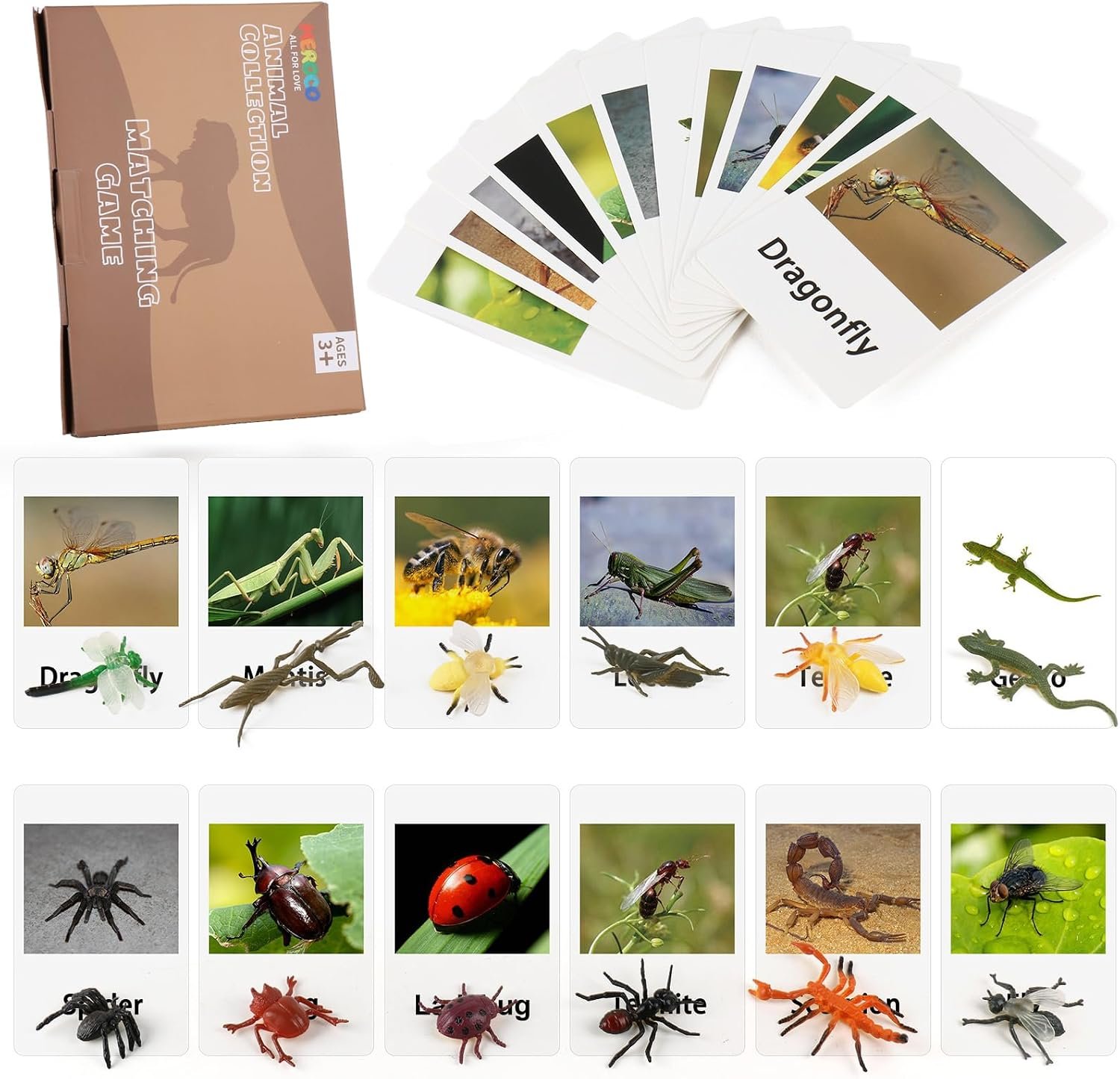 MEROCO Montessori Materials Insects Bugs Matching Game Kids Preschool 3-6